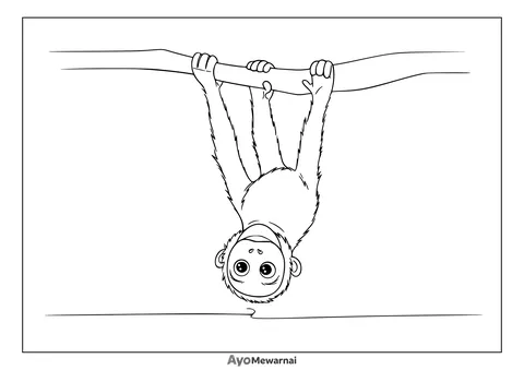 Gambar Mewarnai Anak Orangutan Berayun