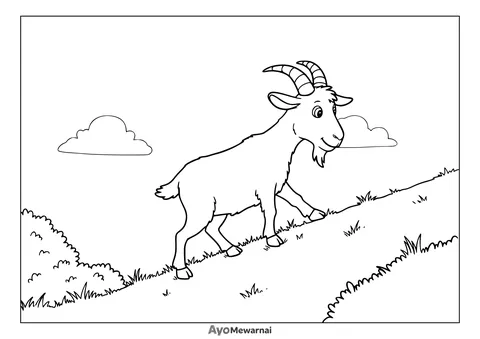 Gambar Mewarnai Kambing Berjalan di Lereng