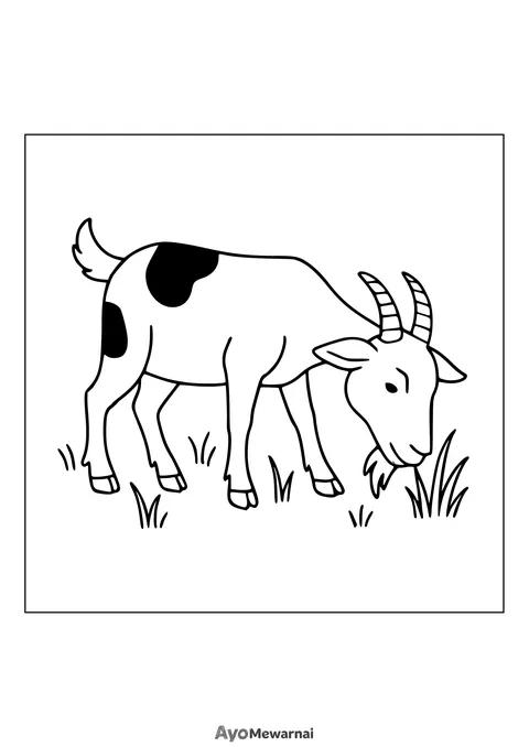 Gambar Mewarnai Kambing di Padang Rumput