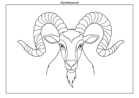 Gambar Mewarnai Kambing Jantan dengan Tanduk