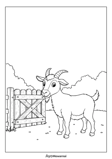 Gambar Mewarnai Kambing Keluar Kandang