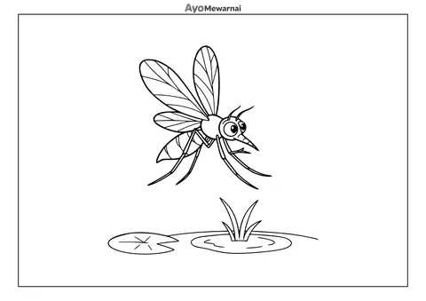 Gambar Mewarnai Nyamuk di Genangan Air
