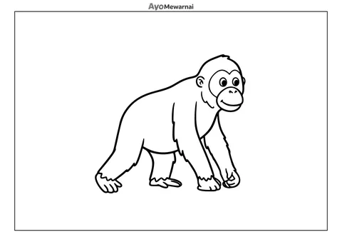 Gambar Mewarnai Orangutan Berjalan