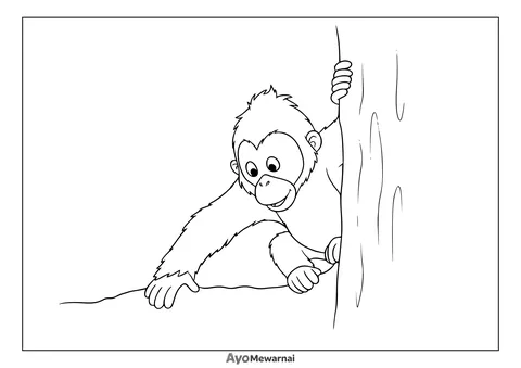 Gambar Mewarnai Orangutan di Balik Pohon