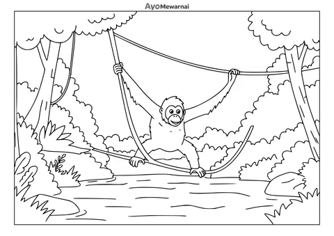 Gambar Mewarnai Orangutan Melintasi Sungai